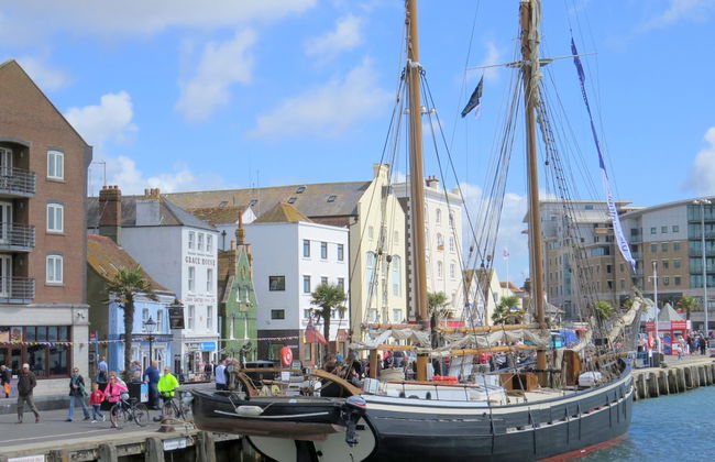 Angel Mews - Foto 12