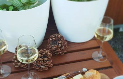 Tiny House Igluhut - Foto 47