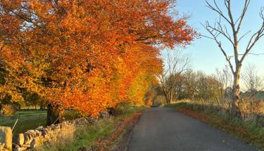 Waterside Cottages - Foto 5