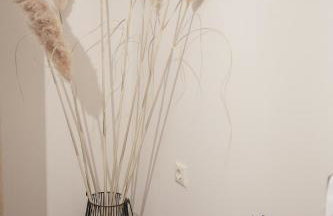 Santa Marina Apartments & Studios - Foto 16