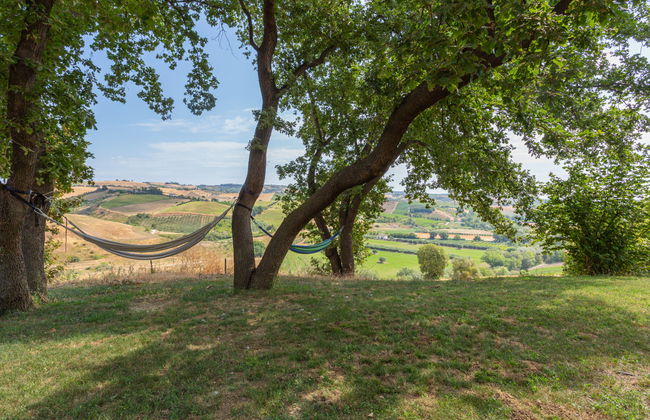 I Due Carpini - Foto 14