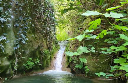 La Llar d´Aitana - Foto 24