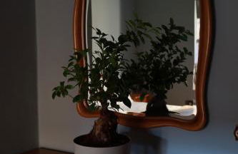 Casa Miasino - vicino Orta San Giulio - 200 sqm - Foto 16