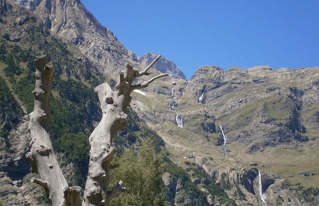 El Capricho de Nieves - Foto 42