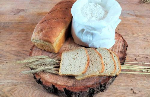 Agroturystyka Piechowscy - Foto 23