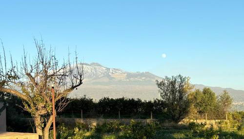 Tenuta Coco - Foto 2