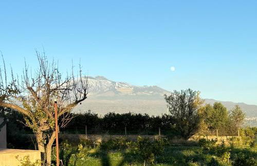 Tenuta Coco - Foto 2