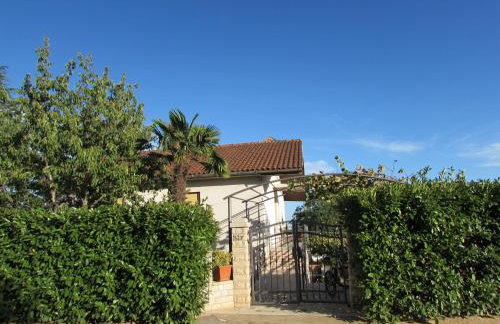 Apartment Ana - Photo 12