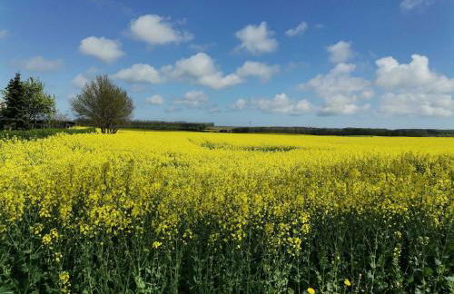 Ferienhaus am Kleinbauernhof Gersdorf bei Kühlungsborn - Foto 16