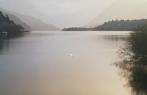 Maes Derlwyn - Photo 23