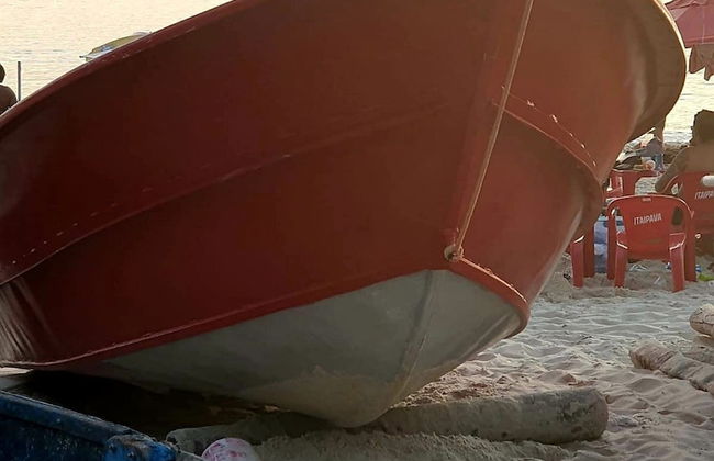 Andorinhas - Foto 66