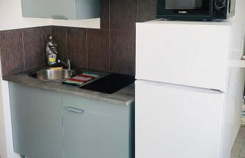 15D Vinatier Grange Blanche Bron Essarts - Foto 1