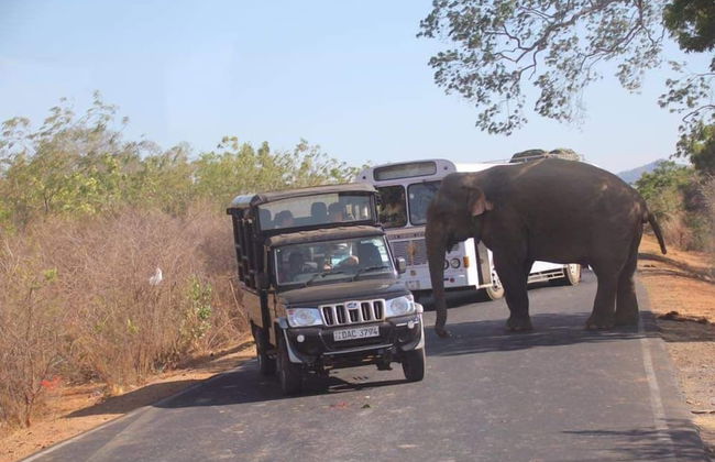 Sandaya's Place - Photo 53