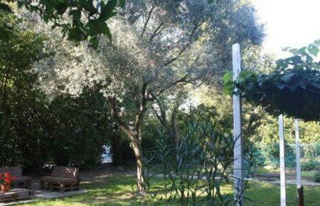 Venice b&b la Pergola 2 - Foto 24