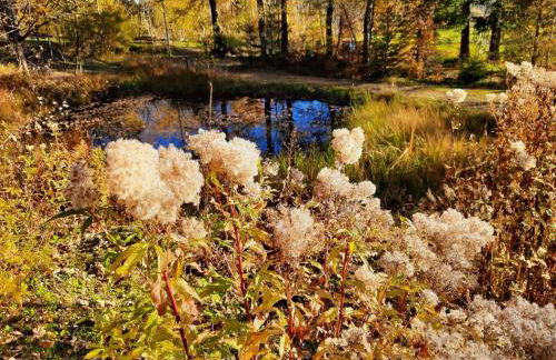 Blockhaus am Baumwipfelpfad - Foto 63