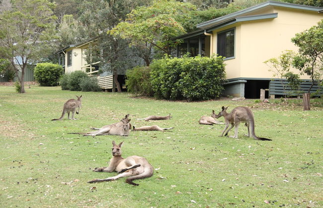 Depot Beach Cabins - Foto 1