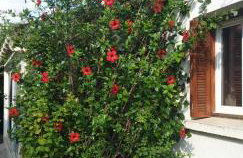 Villa Lina 6 pers plages et rivières - Foto 12