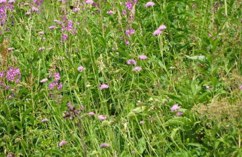 Chalet L'Ecureuil - Foto 18