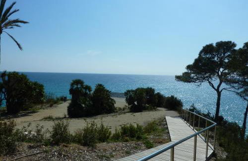 Jacqueline - Foto 44