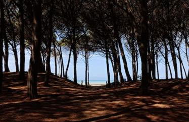 Casa Rosa Marina di Cecina - Foto 26