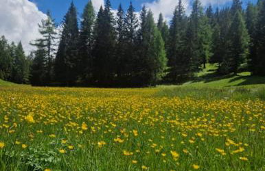 Casa vacanze Da Bianca - Photo 20