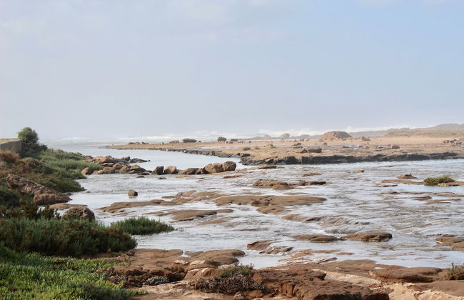 Aux Moules De Harhoura - Rabat - Photo 38