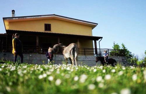 Il Rifugio del Contadino Country House - Photo 6