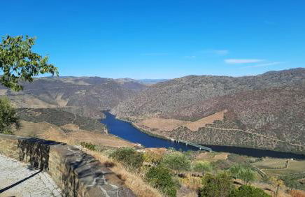 Andar Moradia T4 na Casa do Olival - Foto 42