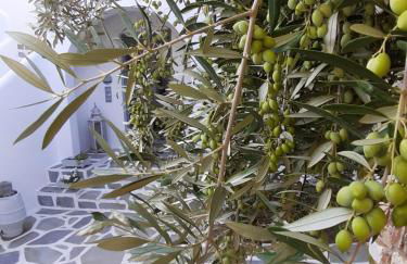 Anixis Studios Aliki Paros - Photo 29