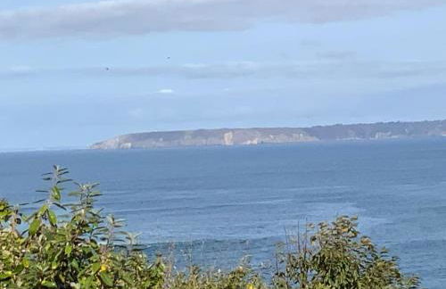 Maison plage de Pors Péron - Foto 19