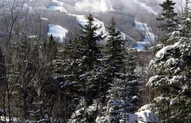 Townhomes at Bretton Woods - Photo 41