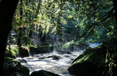 Gîte de France La rapiette 3 épis - Gîte de France 4 personnes MAE-3701 - Foto 14