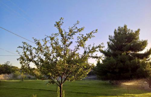 Villa Marita - Photo 14