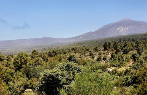 los diablitos 1a - Foto 30