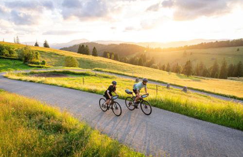 Haus Michler - Foto 5