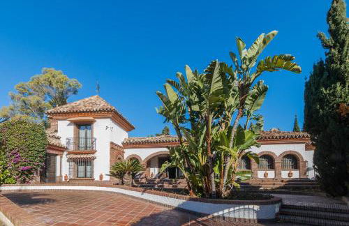 Authentic Andalucia - Photo 1