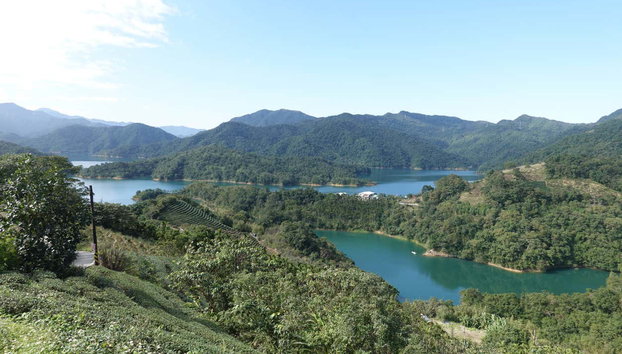 Pinglin & Elephant Mountain Tour - Foto 2