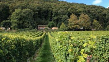 Ferienhaus Lindenallee 20 - Foto 4