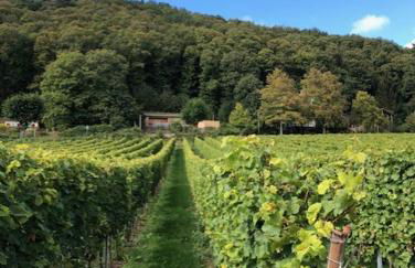 Ferienhaus Lindenallee 20 - Foto 4