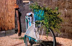 Sospiro dell'Etna - Foto 37