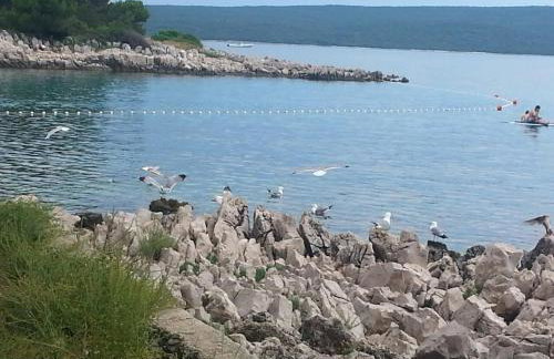 Galboka Nine - Foto 7