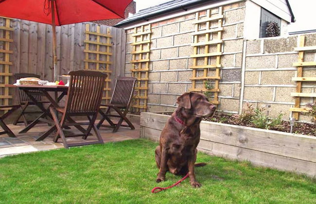 Peel House - Foto 19