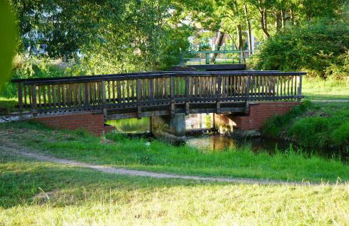 FeWo Elbdeichliebe - Photo 50