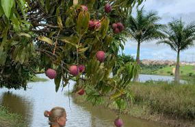 Casa do Lago Sairé - Photo 21