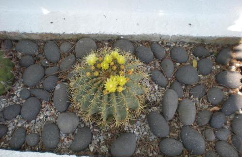 Manolis' House - Foto 51