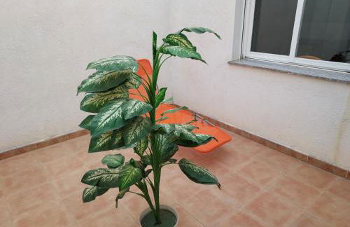 RUA ZAPATERIA 10 PLASENCIA - Foto 22