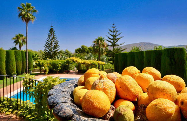 Billet pour le Jardin de L’Albarda - Photo 7