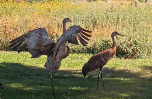 Cozy Warm Mtn Home mins to Sundance & Deer Creek - Foto 4