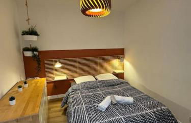 Appartement charmant hypercentre avec patio privé et parking - Foto 3