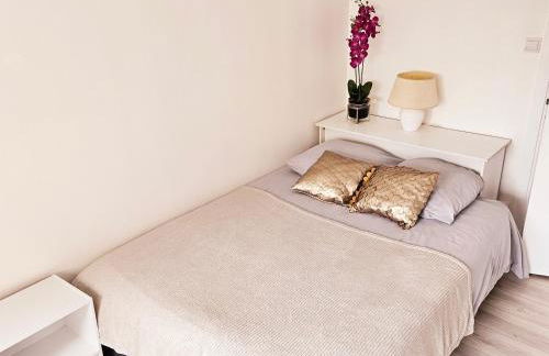 Logement "Les Etangs"- à 10 km du centre ville et à 5 minute du parlement européen avec parking gratuit - Foto 3